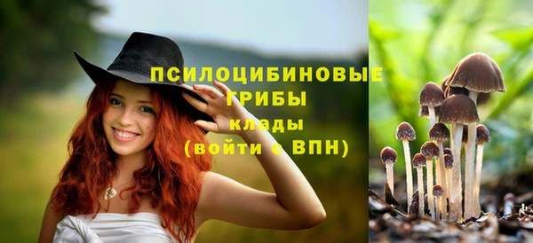 кокаин колумбия Каменка