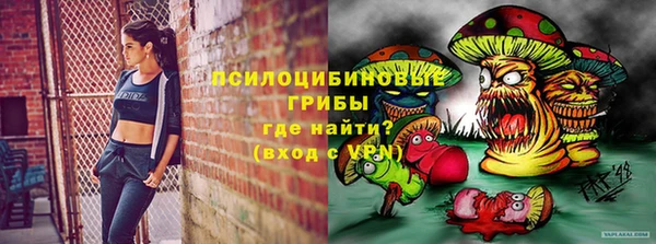 круглые Карпинск