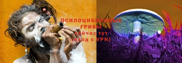 ALPHA-PVP Каменногорск