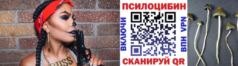 Купить Новое Девяткино Псилоцибиновые грибы Psilocybine cubensis