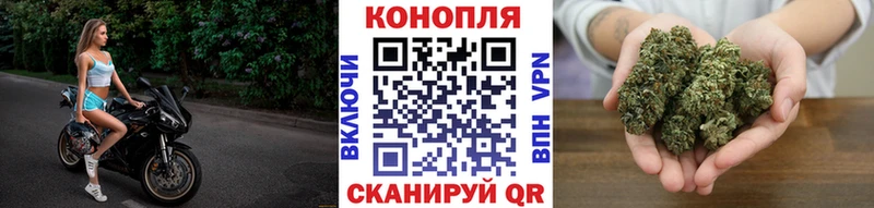 Купить где  Новое Девяткино  МАРИХУАНА планчик 